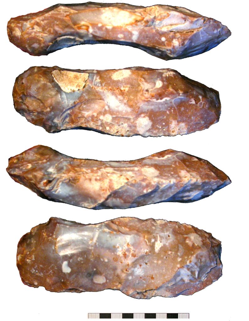 Mesolithic flint adze 9000-6000 BC – prehistoric woodworking tool from Colchester Museums collection